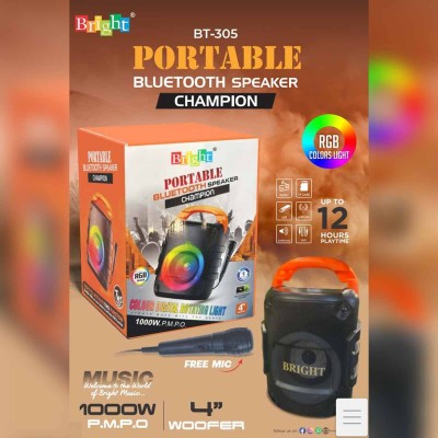 BT-305 Portable Bluetooth Speaker